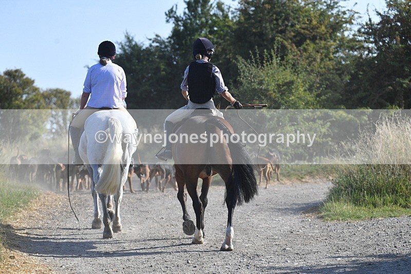 WJ5_4830 - Walk out with the hounds