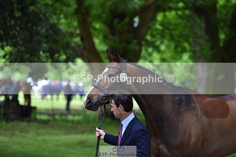 240522-164816-01169 - 222-KILCANNON_SENSATION-Harry_Meade