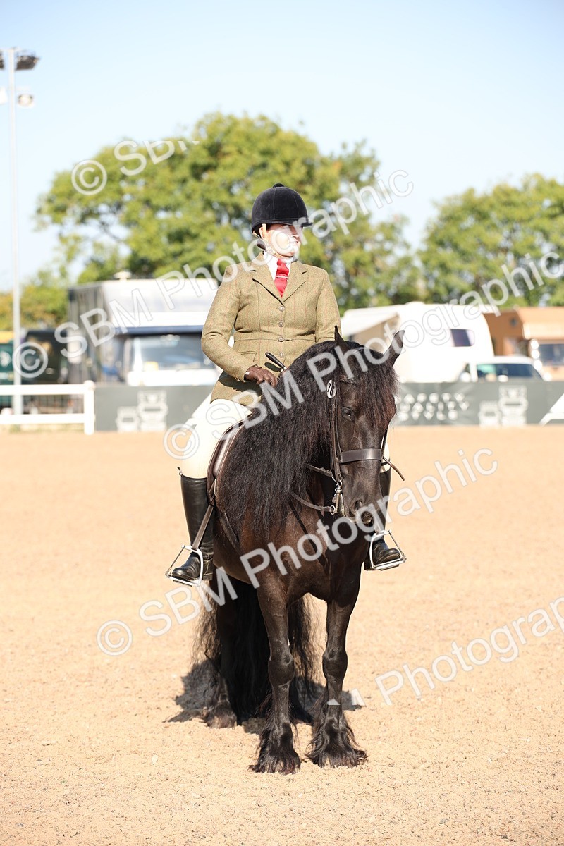 SBM_00761 - Class 14 Ridden M&M Wildcard