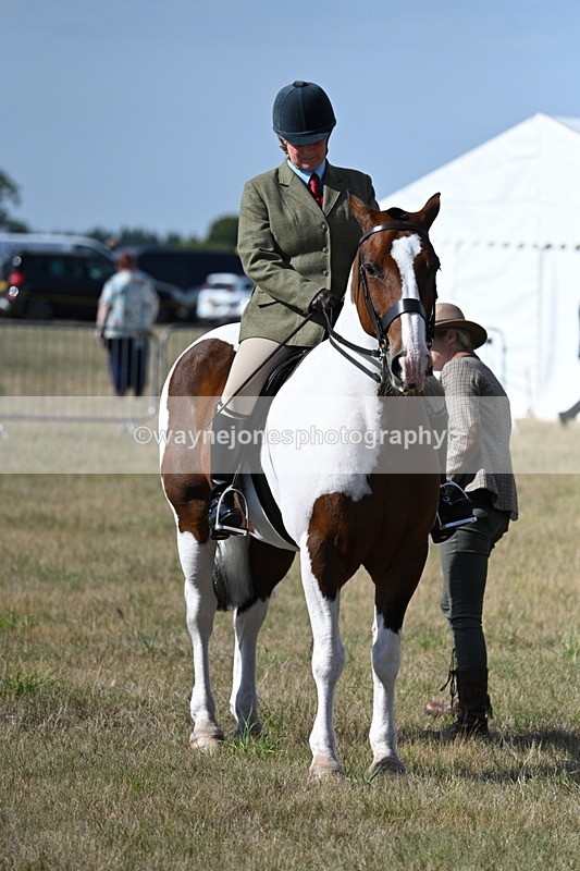 WJ7_2741 - Class 8 Ridden Tack & Turnout