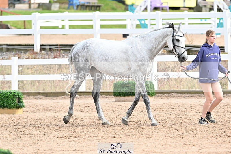 240717A-164557-03527 - Trot Up 4pm to 5pm