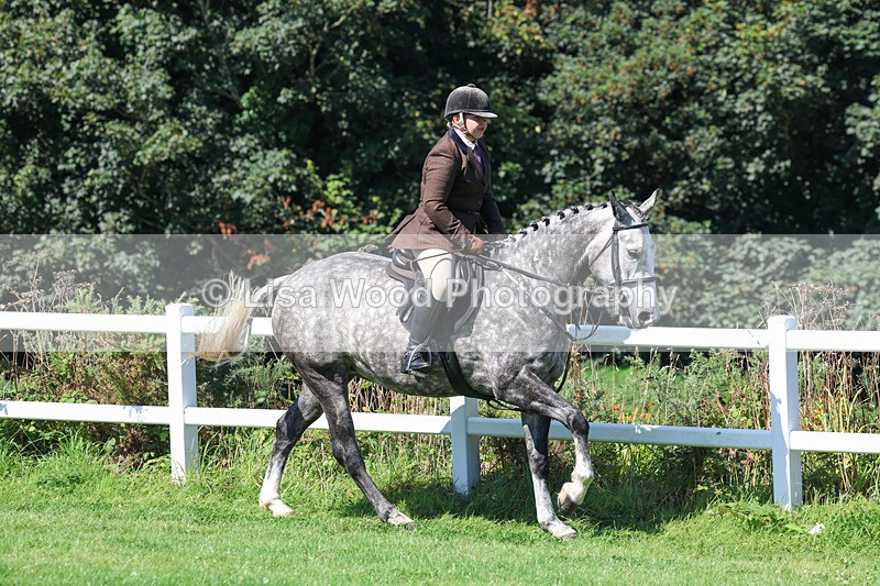 3E7A8366 - Class 4: Novice working Hunter