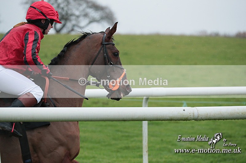 PtP 031223 656 - Wheatland Hunt PtP Chaddesley Races 03/12/23