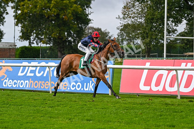 150925-Race 1-Max Of Stars-2203 - Race 1