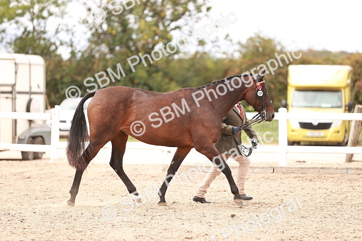 SBM_16275 - Class 413 - Best Condition - Adult