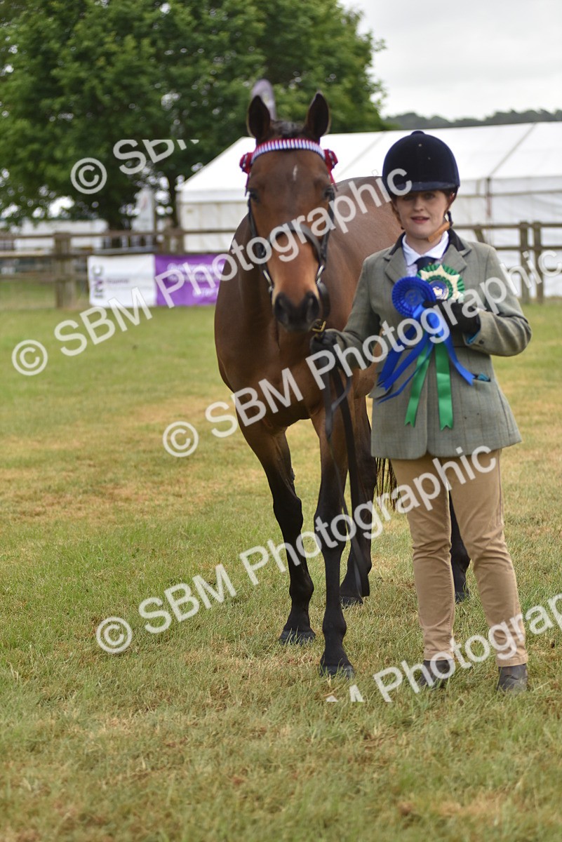 SBM_10677 - Class 109 - Retraining of Racehorses in Hand