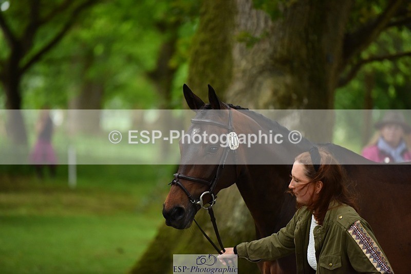 240522-170014-01316 - 271-WILD_ATLANTIC_WAY-Susie_Berry