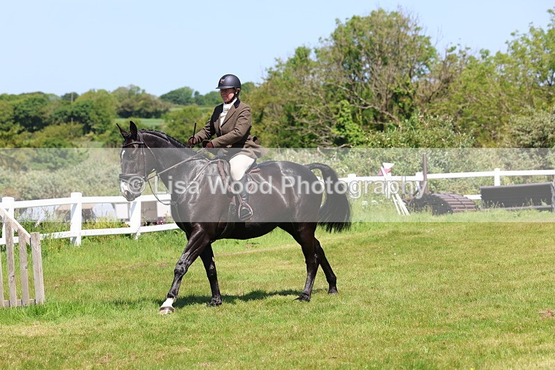 3E7A7254 - Class 30: Novice Working Hunter