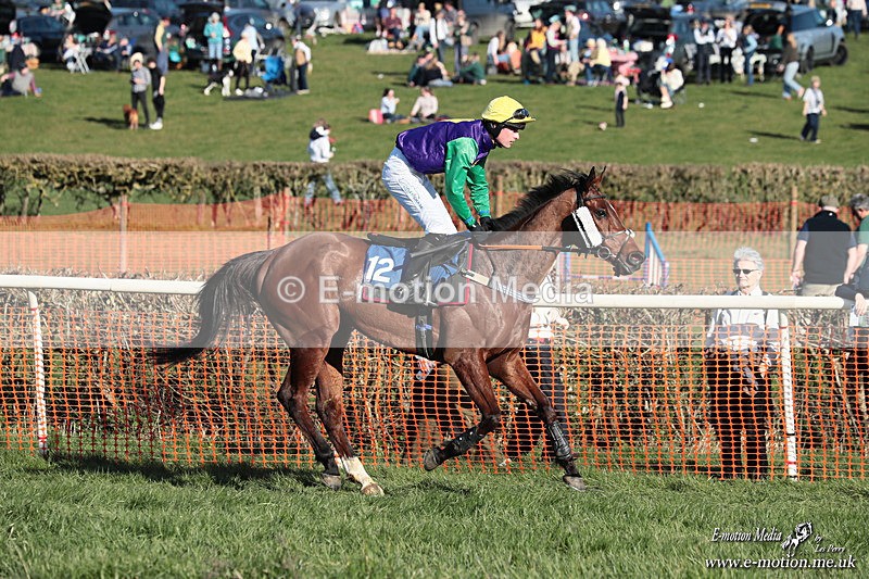 PtP 210326 827 - VWH Cirencester Races 21/03/26