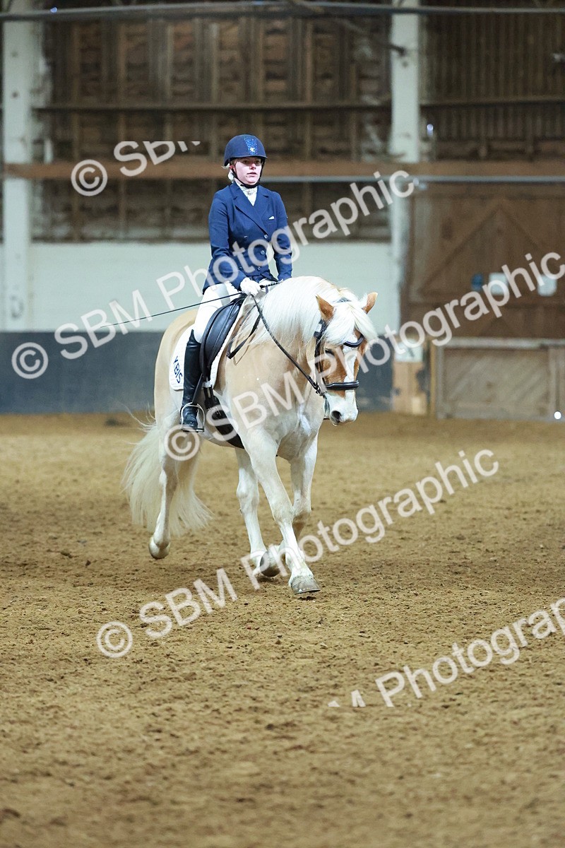 SBM_003918 - Novice 2