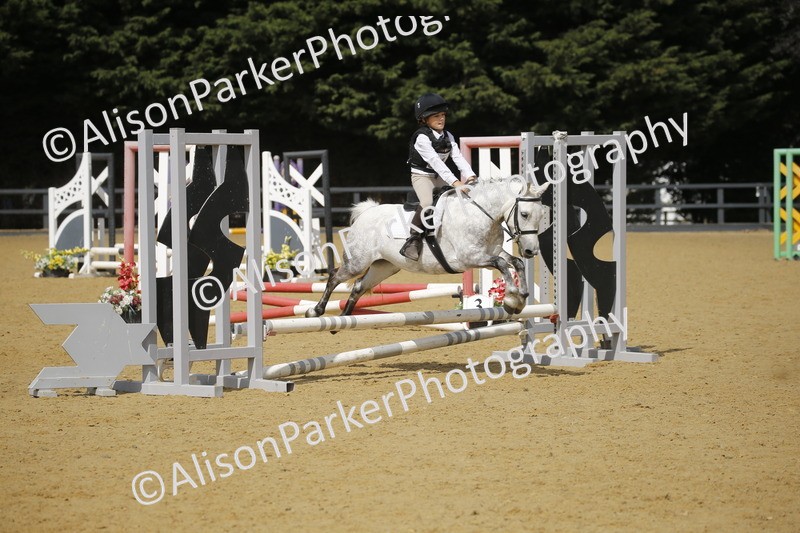 20250622-3772 - 50cm