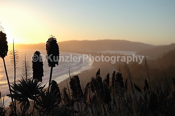  - Stinson Beach