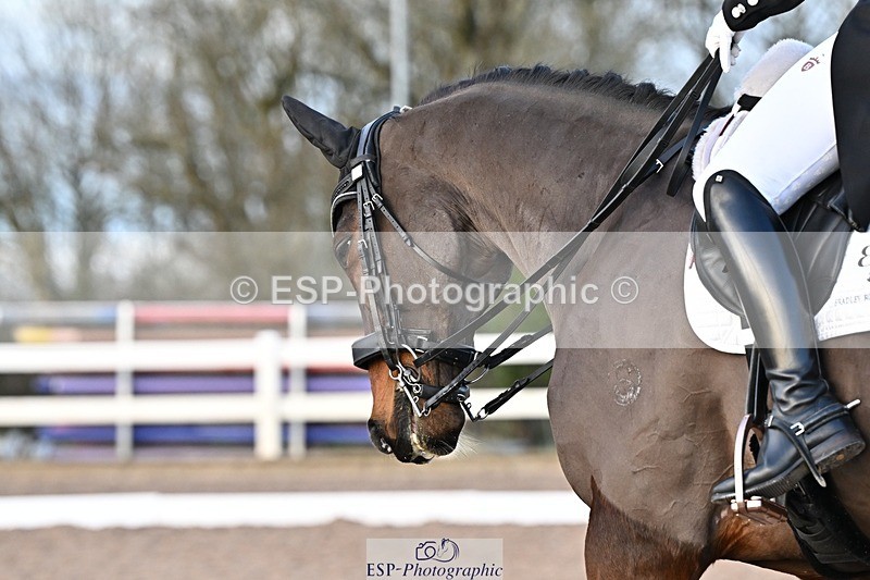 241214-145855-03036 - 160-Shelly.Smit-Sharp.Sharp