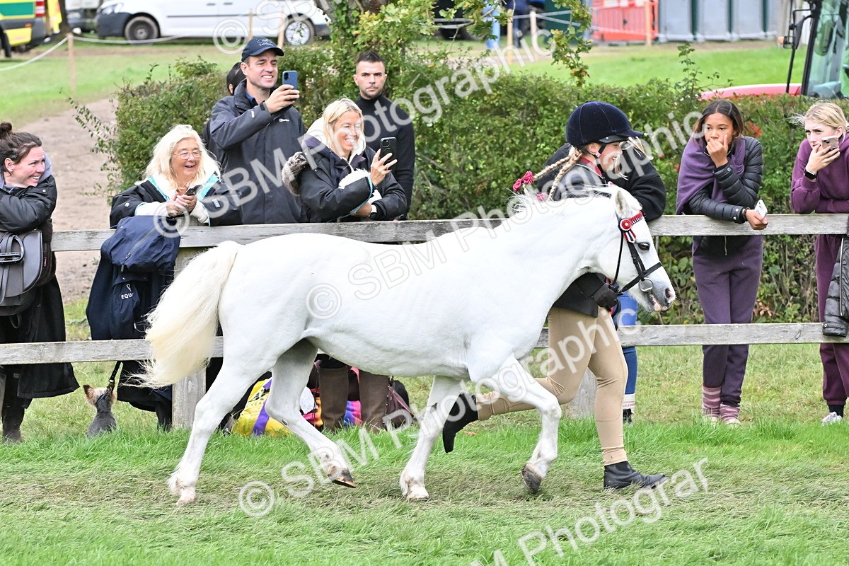 SBM_68530 - S42 - Junior Handler 9-12 Years
