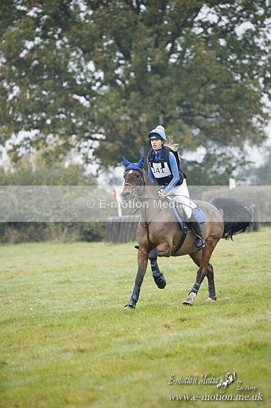 WWHT 181020 WWHT 181020 291 - WWEC Novice Restricted (0.80m) 18/10/20