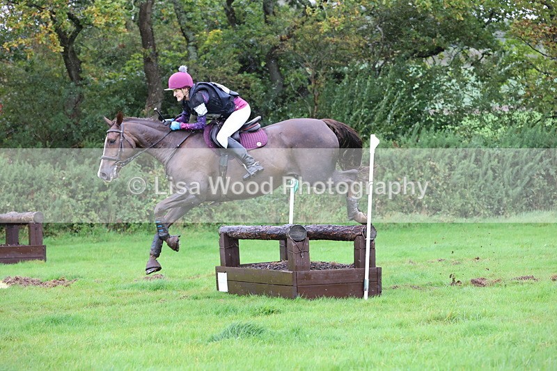 JPP_5448 - Class 4: 80cm: Crossed Logs