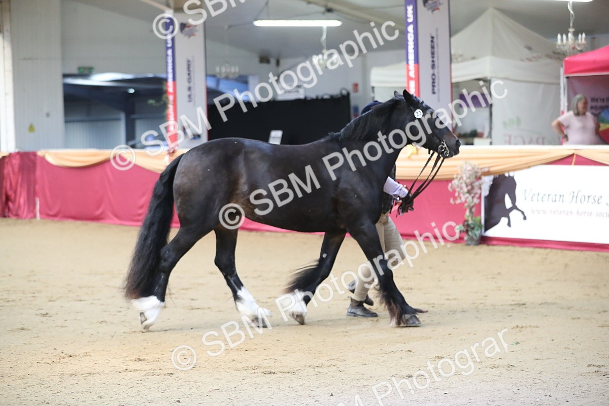 SBM_00596 - class 2a Area IH Veteran