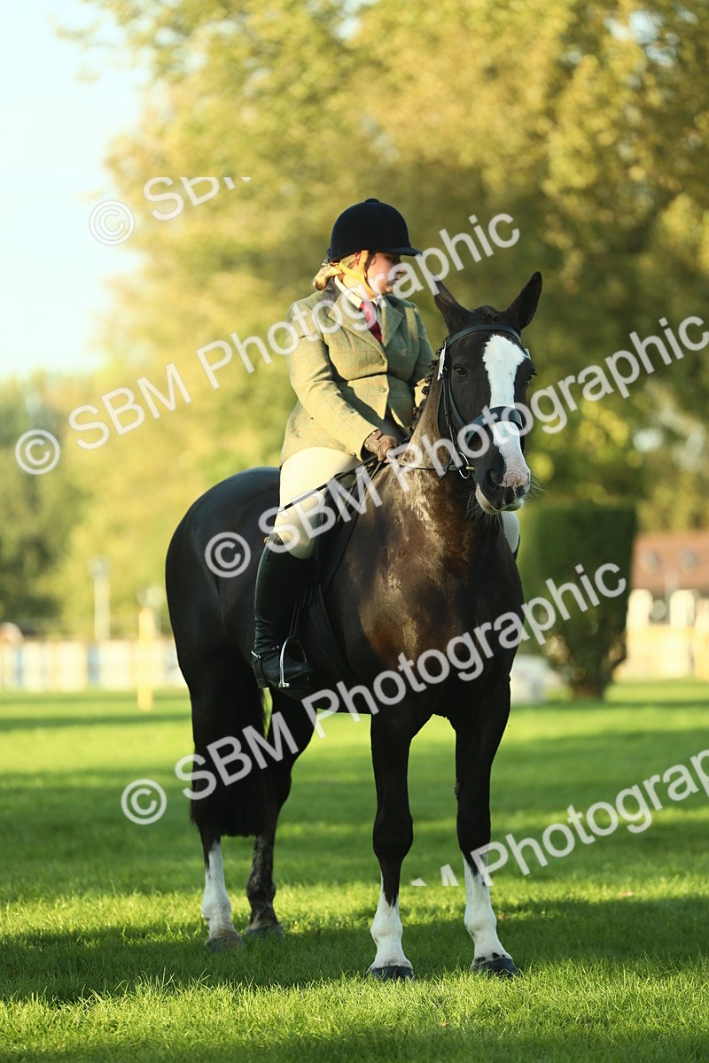 SBM_55560 - S14 - Riding Club Horse