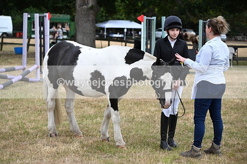 WJ6_4196 - Class 10 Coloured In-hand