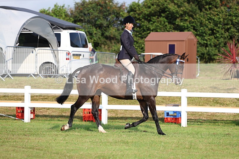 3E7A7656 - Class 1: Rising Star Small Hack/Riding Horses