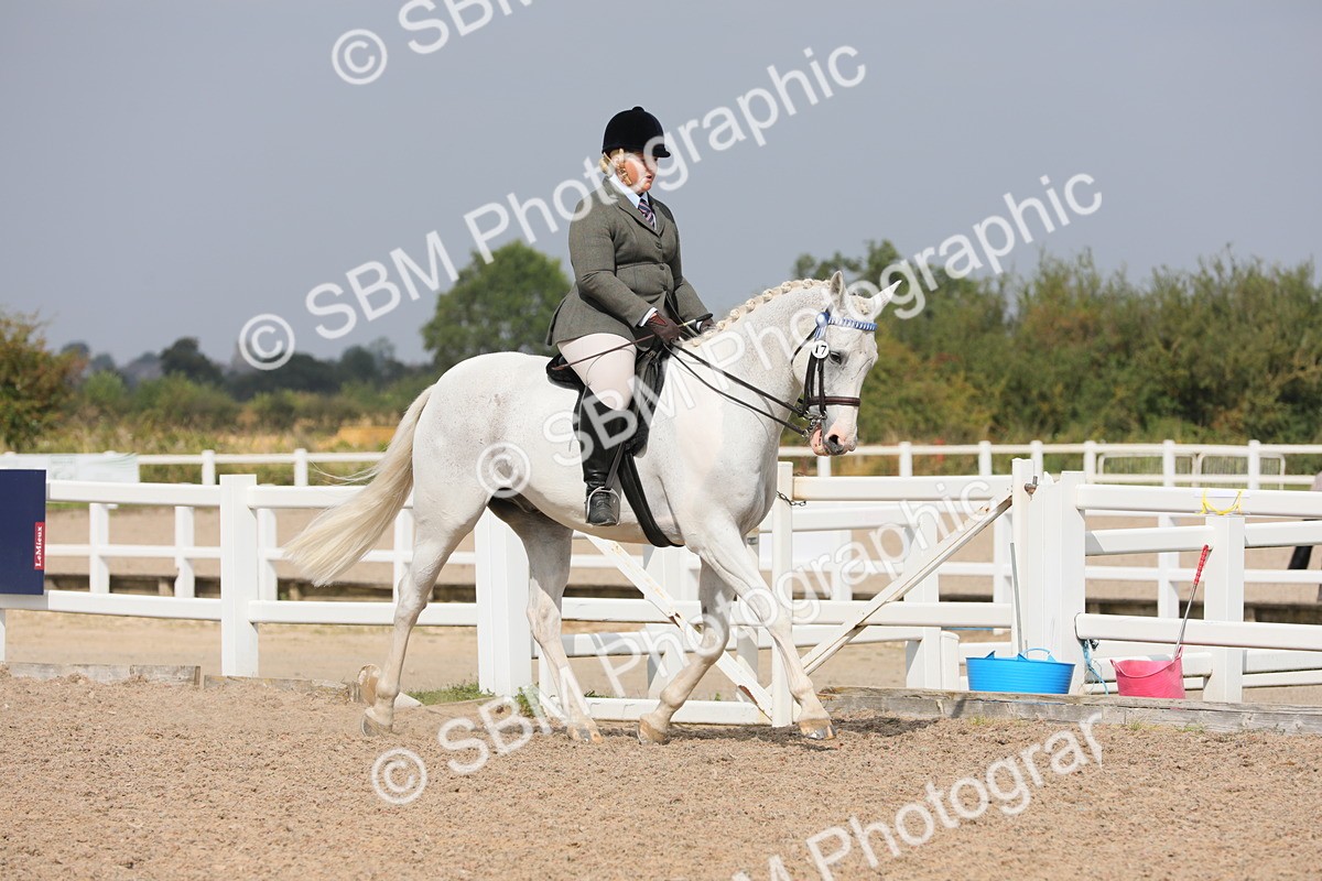 SBM_13339 - Class 308 Ridden Coloured Horse