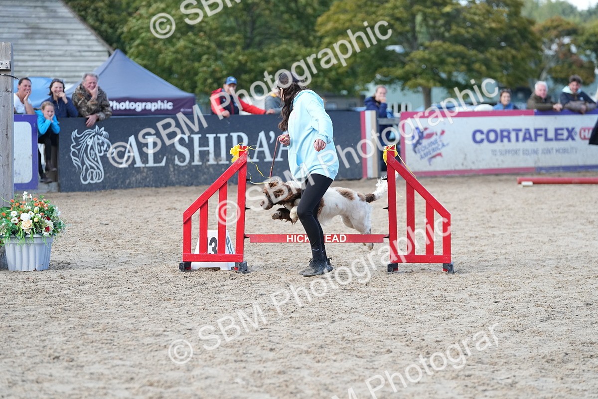 SBM_29158 - J43 - Horse & Hound Open 50cm