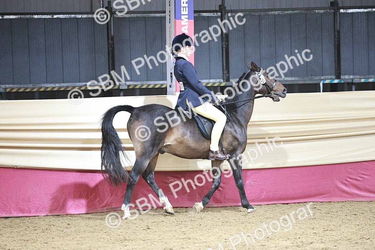 SBM_08007 - Class 11R - Regional Ridden Veteran