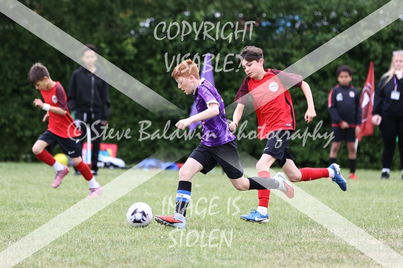 1DX30855 - Brook Field V Goddard Park