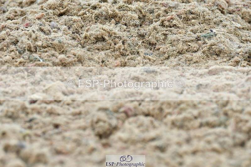 230630A-133257-02396 - Cls 8 Elementary 57