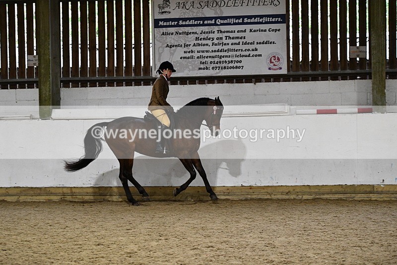 WJ5_8856 - Class 15 Ridden Show Horse