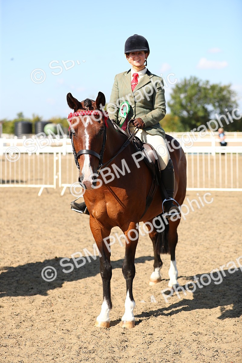 SBM_02387 - Class 43 Ridden Competition Horse/Pony