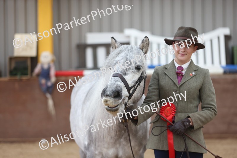 20251109-1050 - Class 28 - Mares 4 Years and over