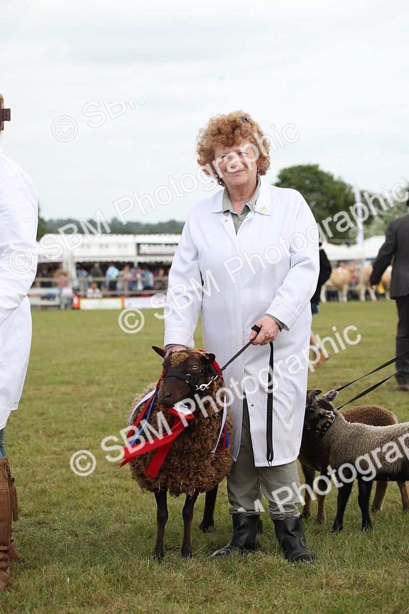 SBM_07876 - Grand Parade