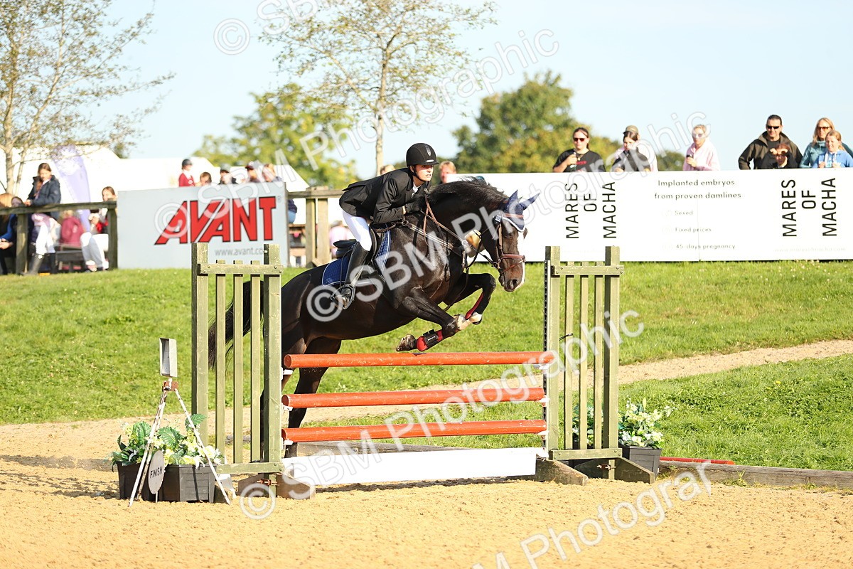 SBM_60213 - J41 - Grand Tour 95cm Championship