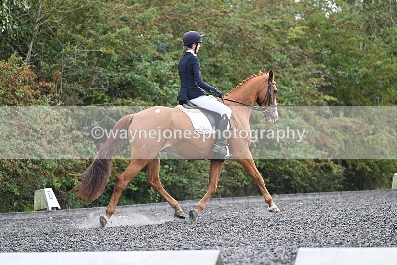 WJ7_6767 - Time 14:49 to 15:14