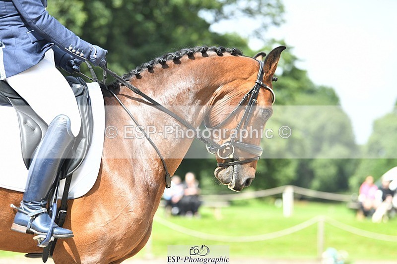 230812-112211-03606 - Cls 6 Novice Silver 10.30 to 11.55 break