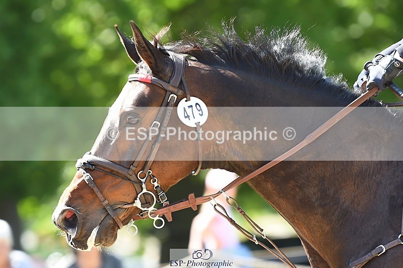 230527-152648-11562 - 479-DASSETT_SELECT-Kate_Rocher-Smith-SJ