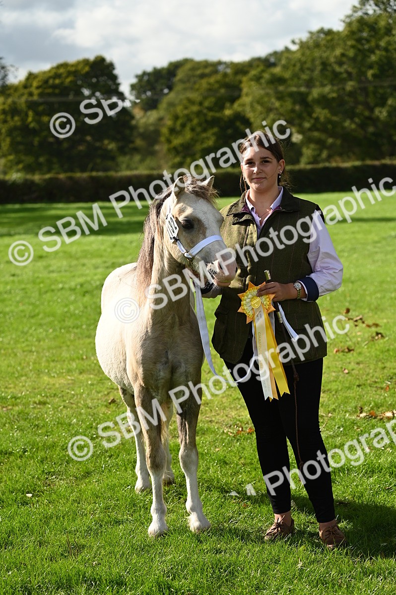 SBM_25057 - S5 - Novice & Newcomer In hand