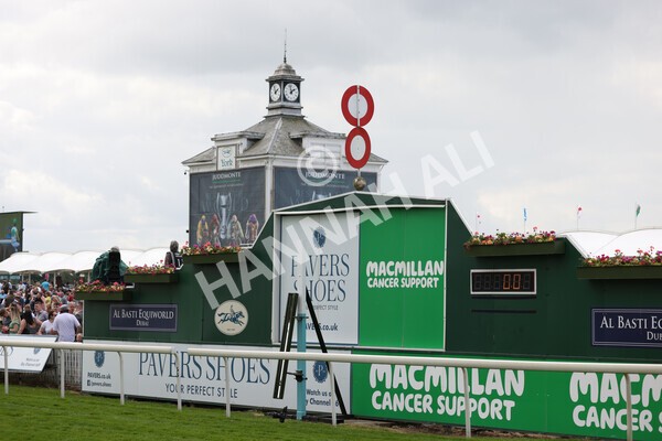 yr11062022r2-58 - Race 2 2.00pm Queen Mother's Cup