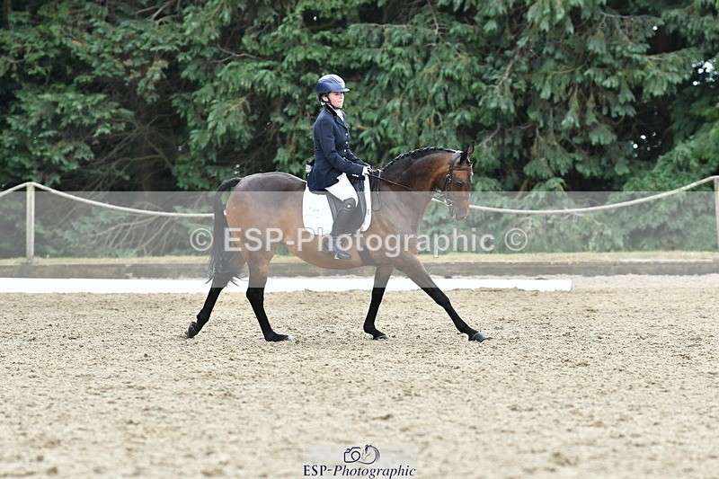 260801A-125220-04078 - Prelim Bronze Break - End