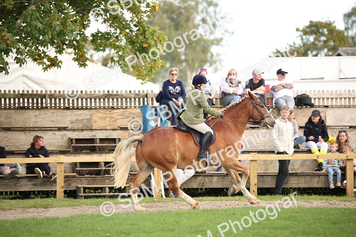 SBM_50221 - S26 - Young Veteran - Ridden