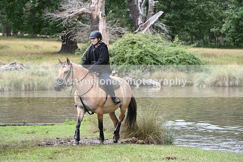 WJ7_4077 - Time at Water 12:52 to 13:22