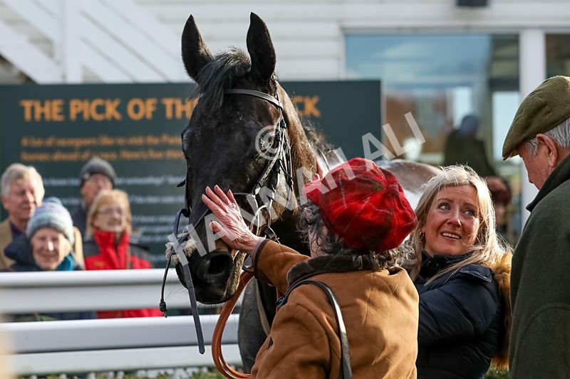 270224-Race 4-Wolfburg-8583 - Race 4