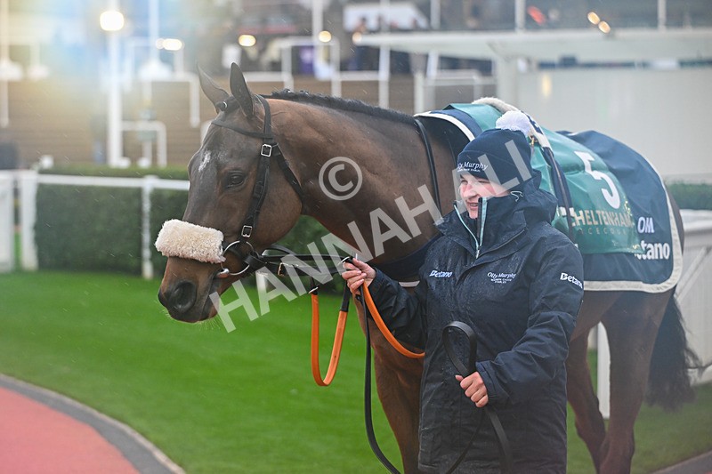 141125-Race 3-Wade Out-9813 - Race 3