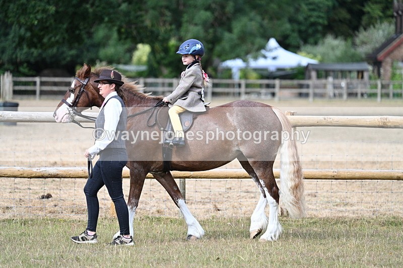 WJ7_6299 - Class 1 Lead Rein Pony