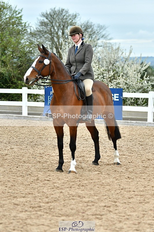 230416A-143200-05261 - Cls 74 Warmblood