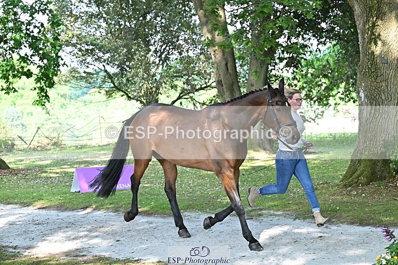 250521A-162850-01169 - C-225-Molly.Adams-QUINARA