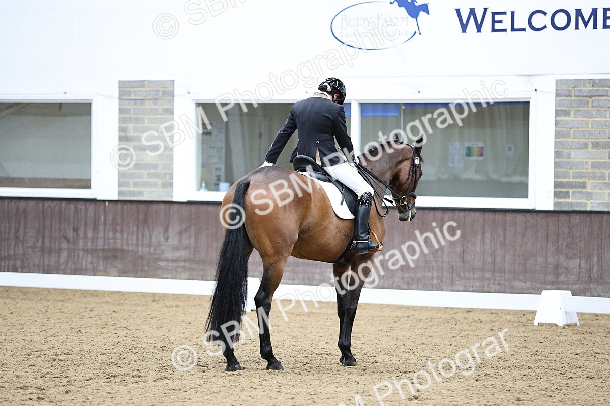 SBM_001293 - Class 5 - Novice 6