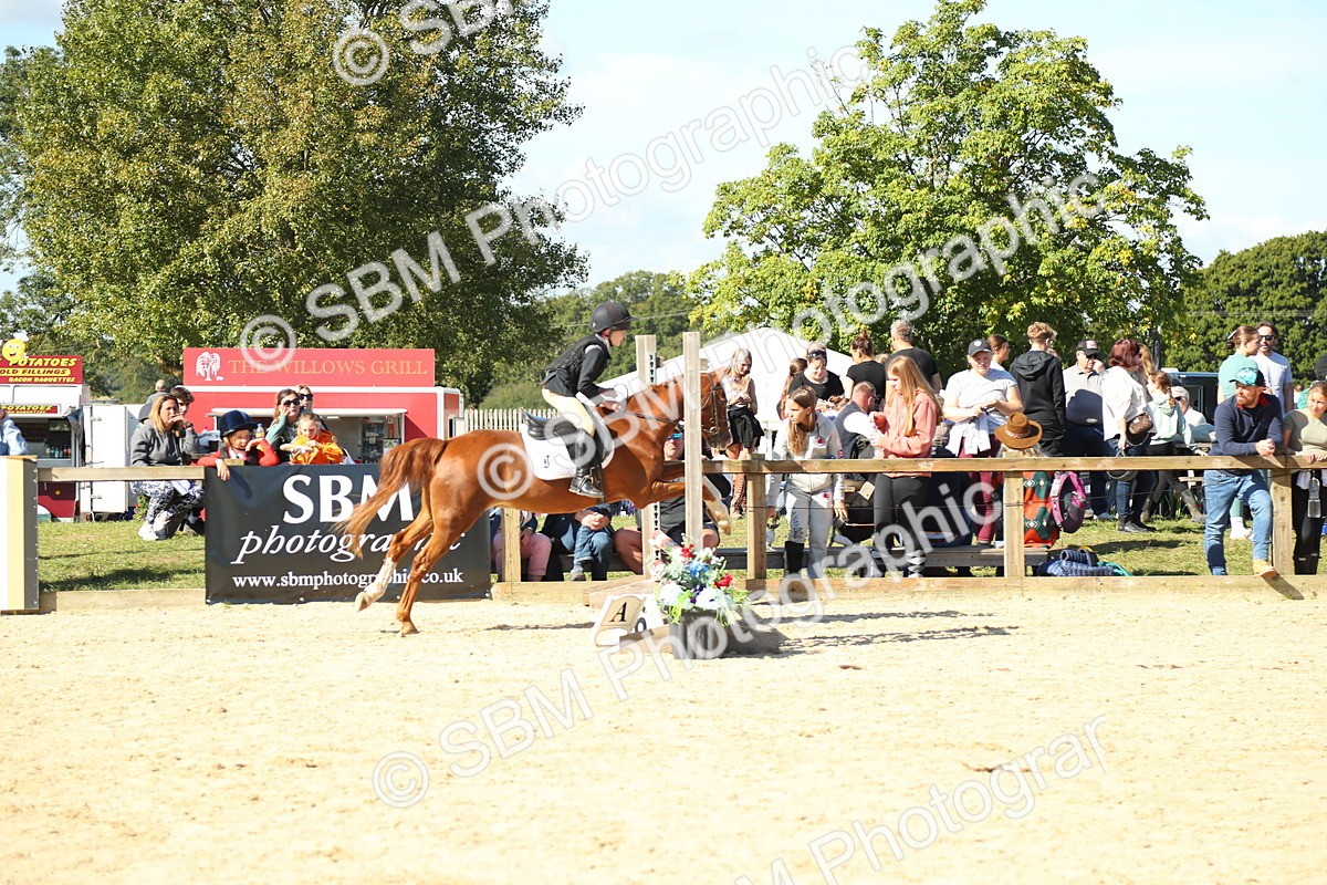 SBM_39327 - J6 - Junior Pony 55cm Championships