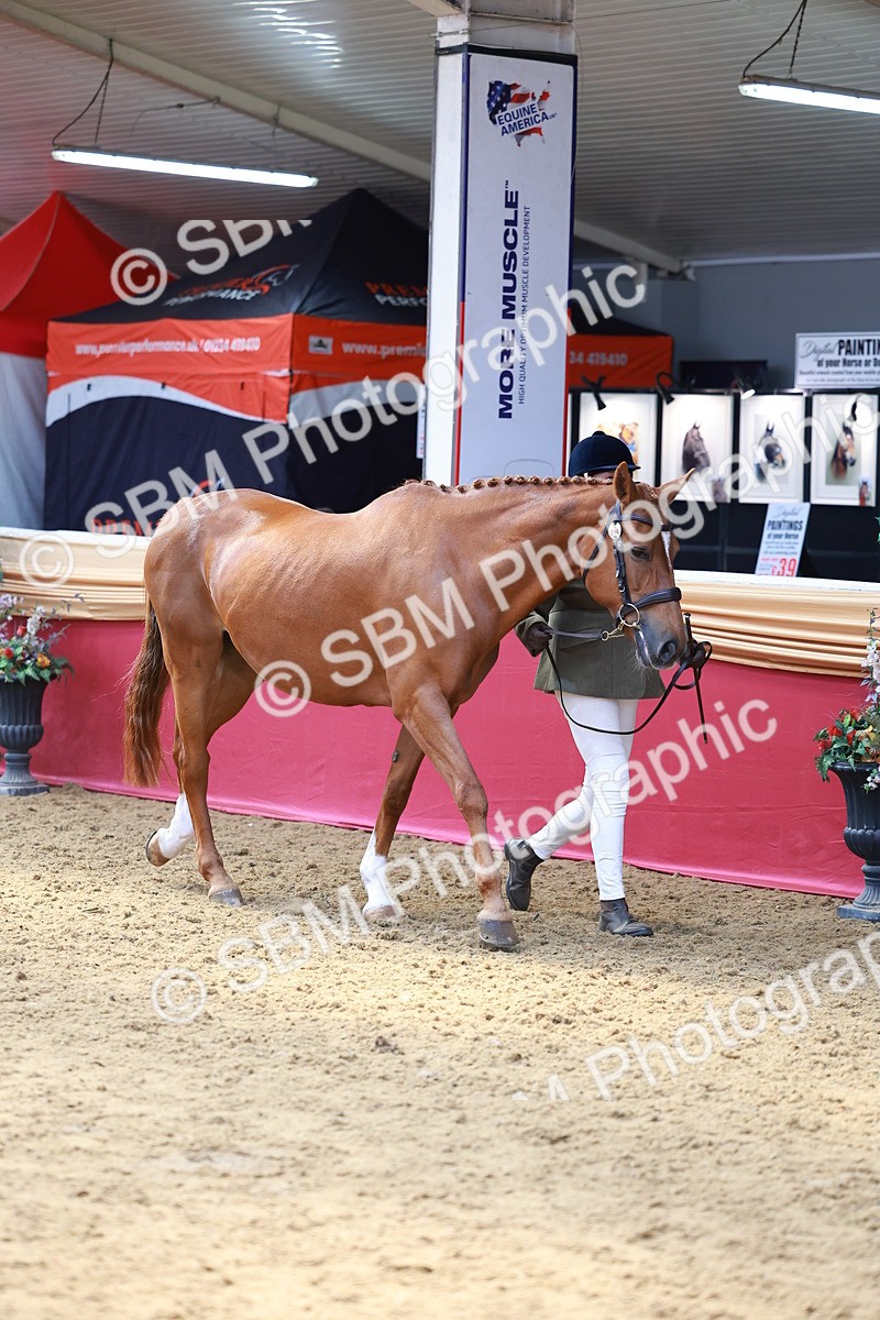 SBM_04080 - Class 9R - IH Pre-Vet